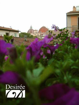 Hotel Desirèe, Florence